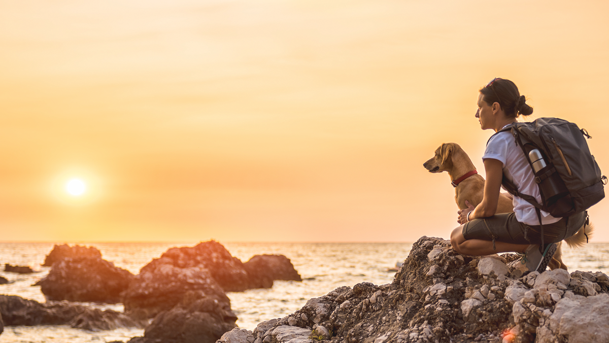 WINNING WITH A CDHP + HSA